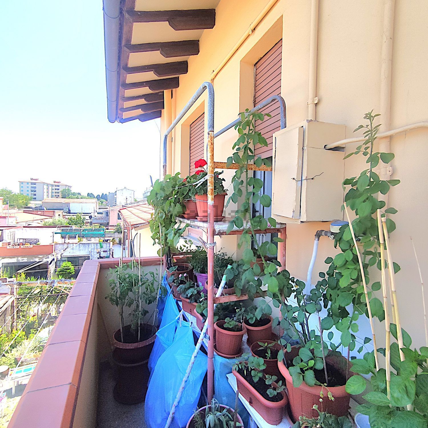 Wohnung in Filzi - Shangay, Livorno