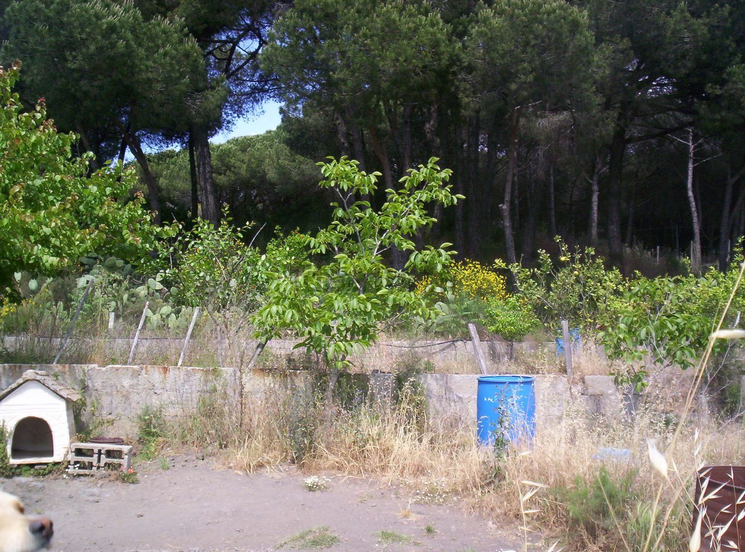 Villetta bifamiliare a Nicola - Montedoro - Camaldoli, Torre del Greco