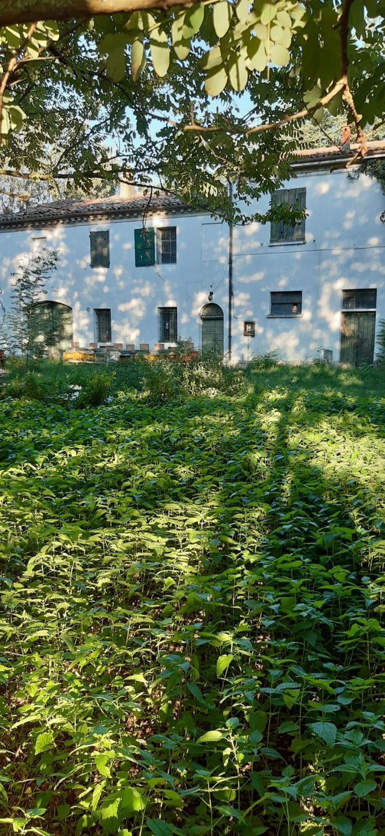 Landhäuser in Villafranca - Roncadello, Forlì