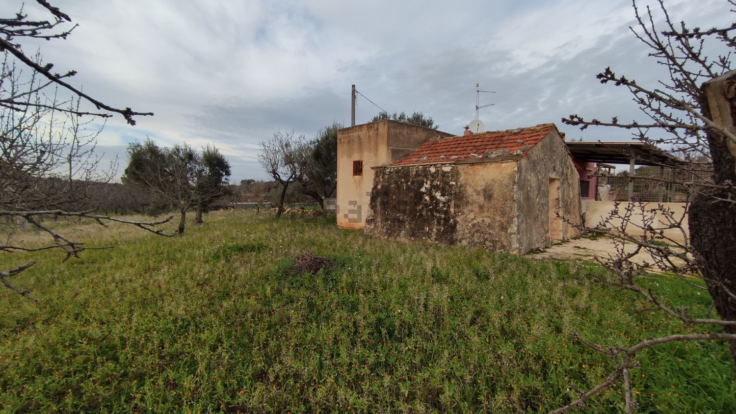 Quintas e casas rústicas em Castellana Grotte