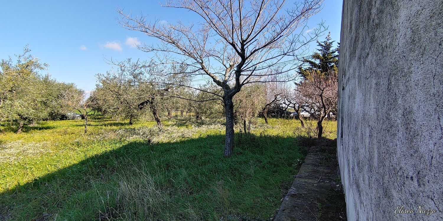 Rustici e casali a Troia