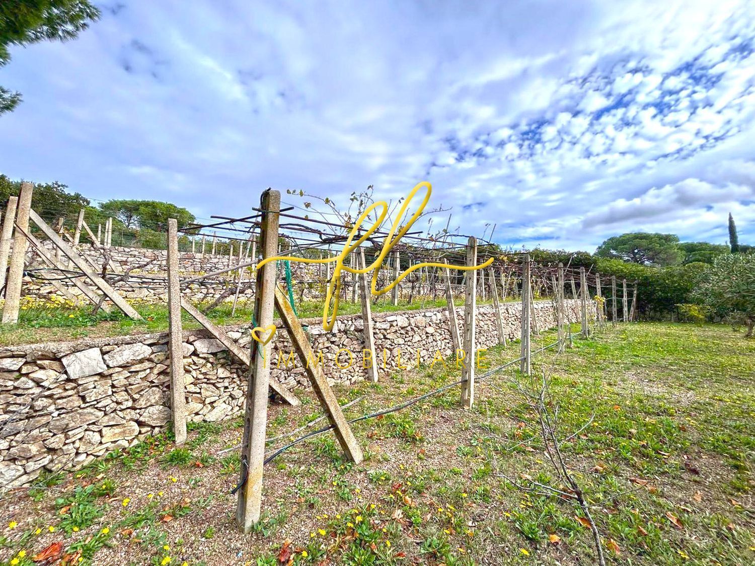 Appartamento a Campo nell'Elba