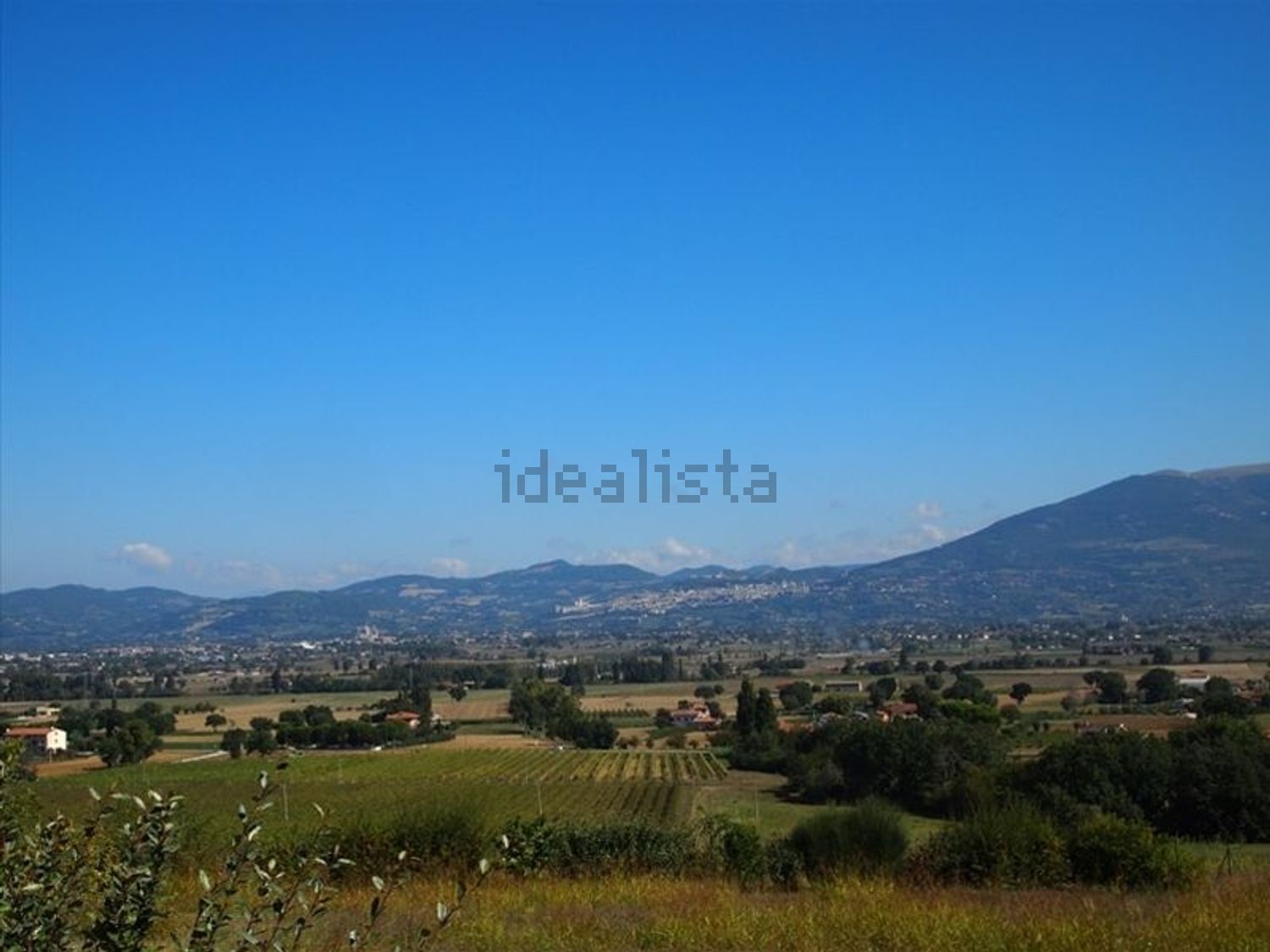 Rustici e casali a Cannara