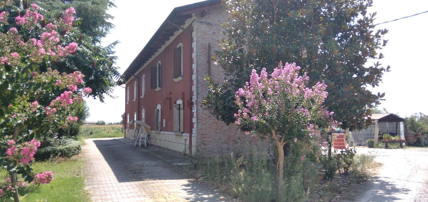Rustici e casali a Masi Torello