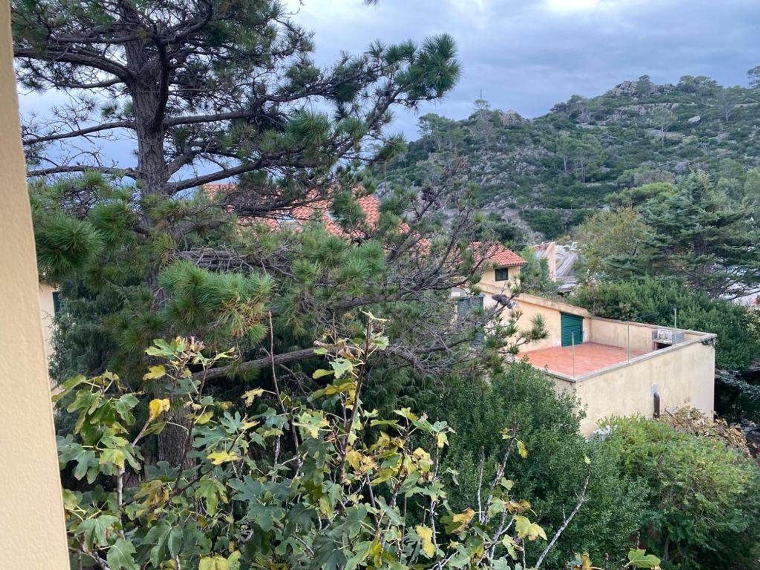 Appartamento a Capraia Isola