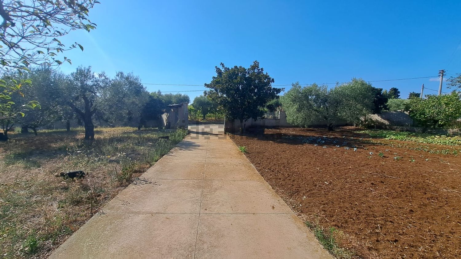 Maison individuelle à Lanuvio