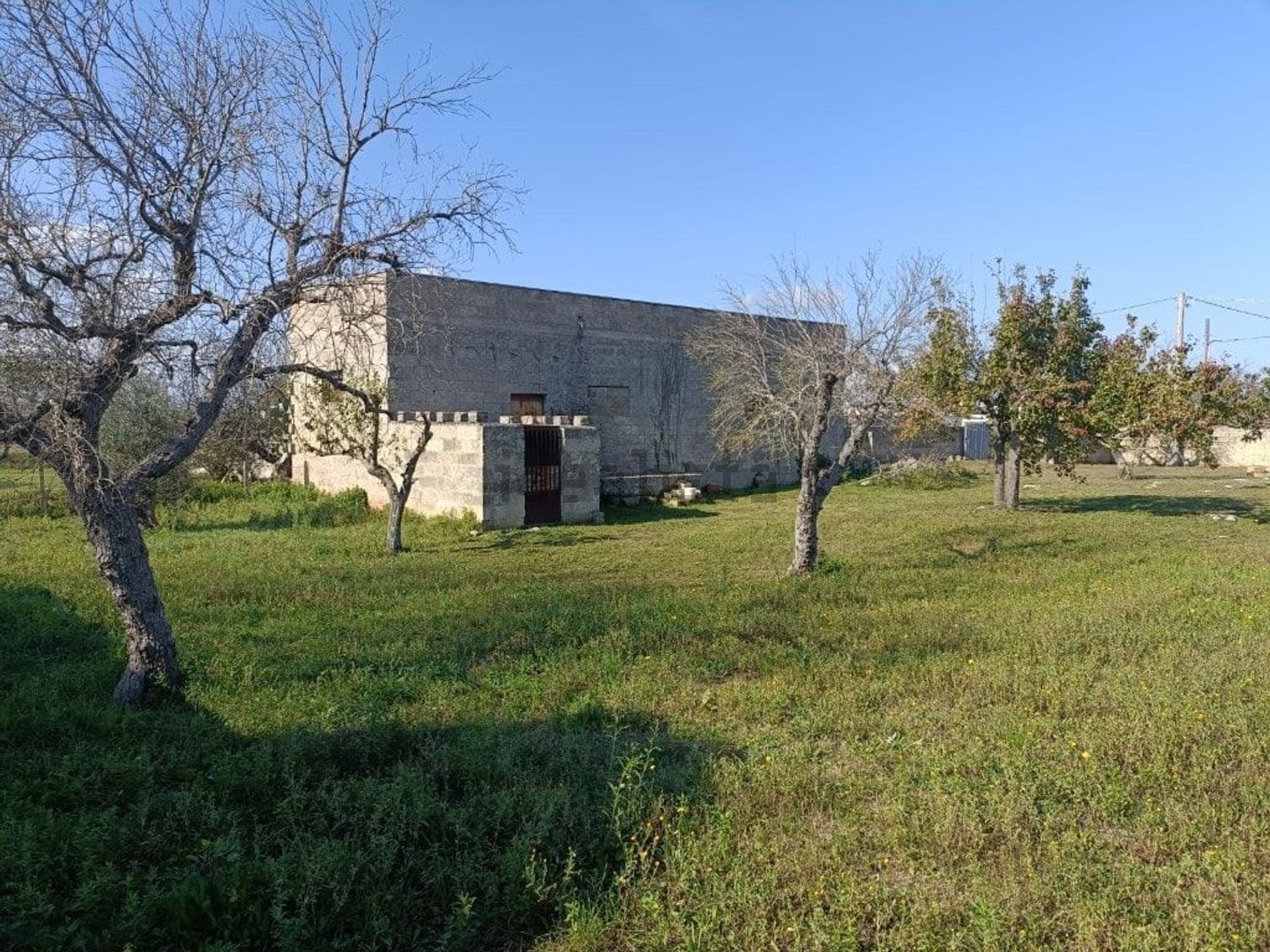 Rustici e casali a Taurisano