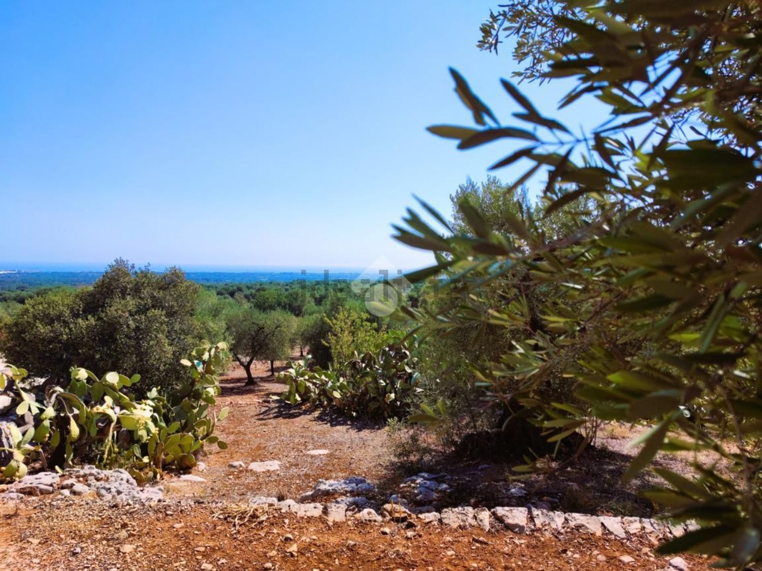 Rustici e casali a Cozzana - Gorgofreddo - Antonelli, Monopoli