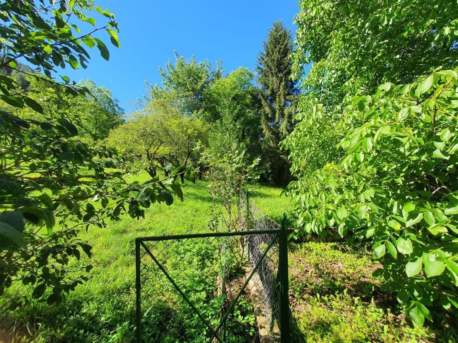 Villetta bifamiliare a Paluzza