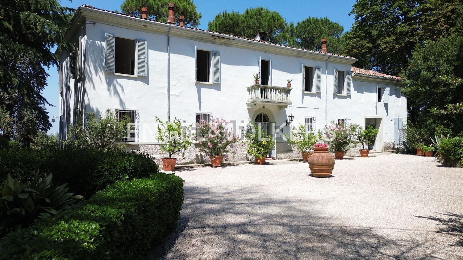 Houses in Montiano