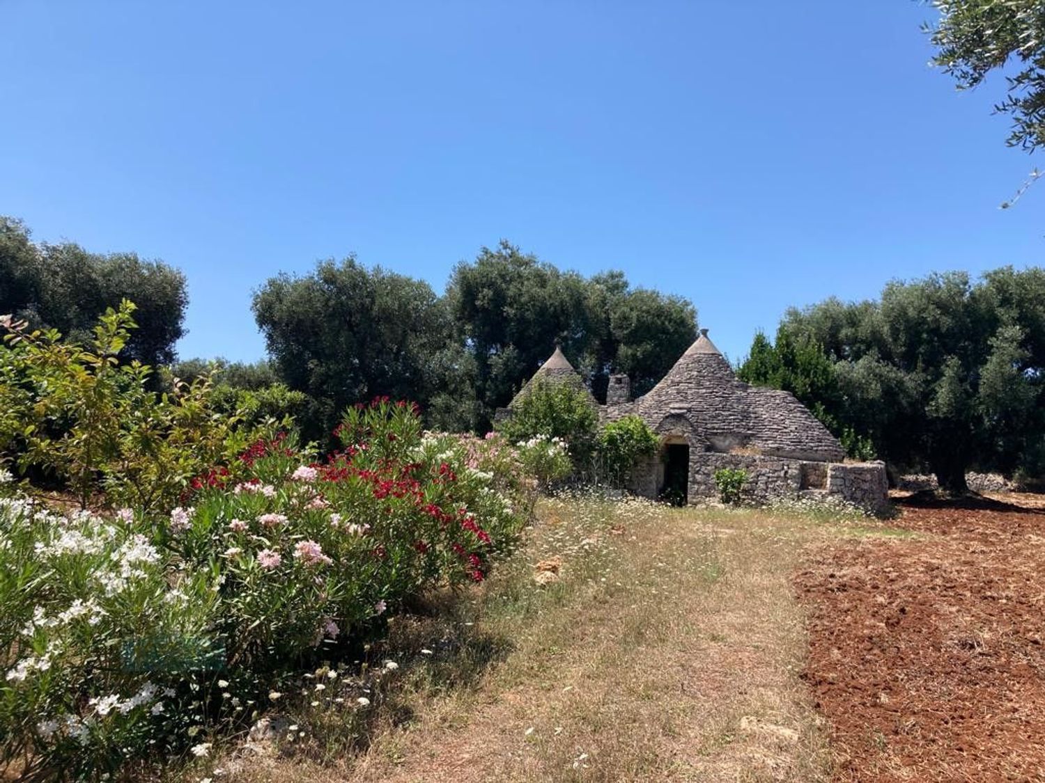 Landhäuser in Campanile - Fumarola - Cavallerizza, Ostuni