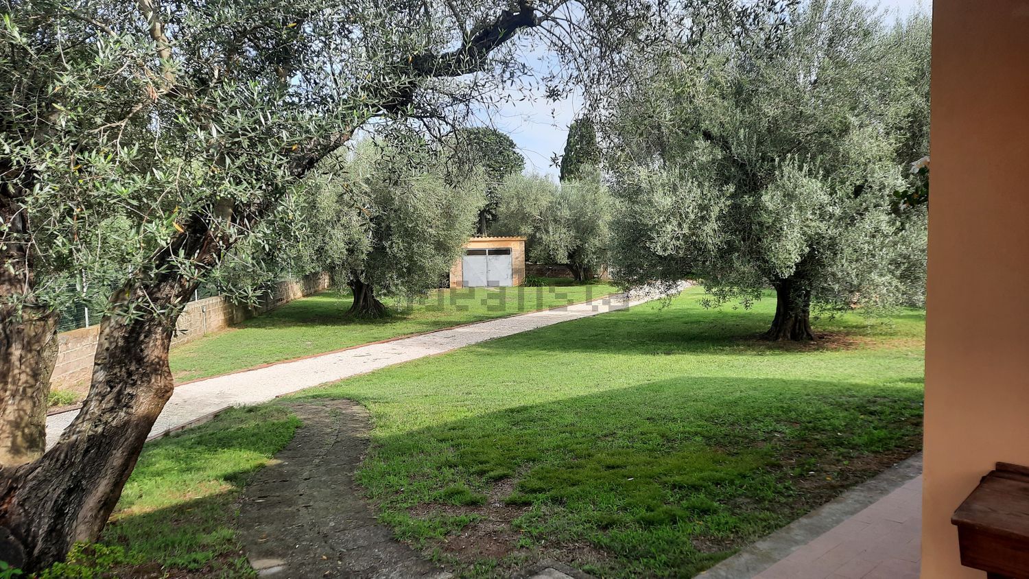 Gîte rural à Canino