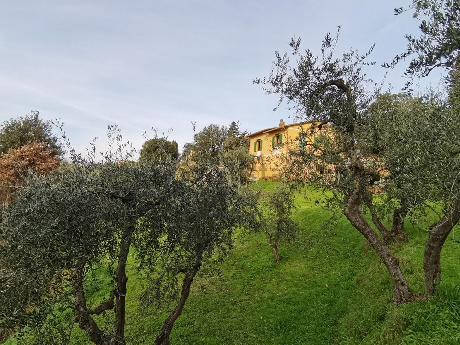 Villetta indipendente a Palaia