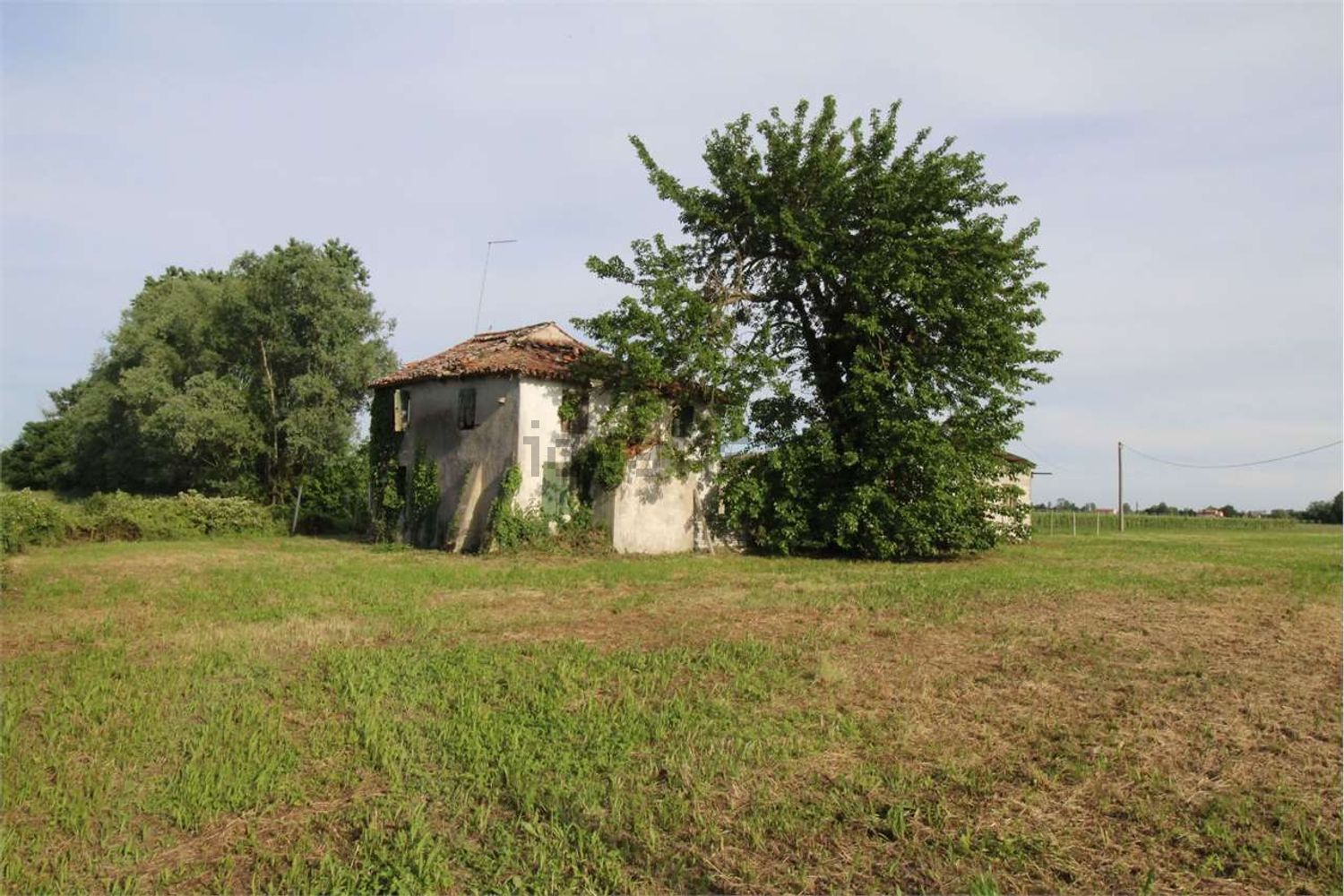Rustici e casali a Salgareda