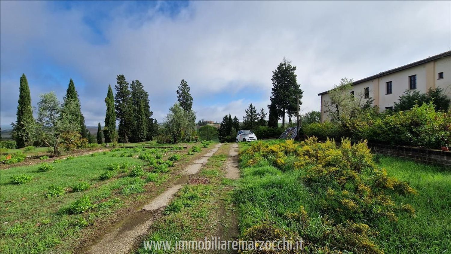 Herdade em Arbia, Asciano