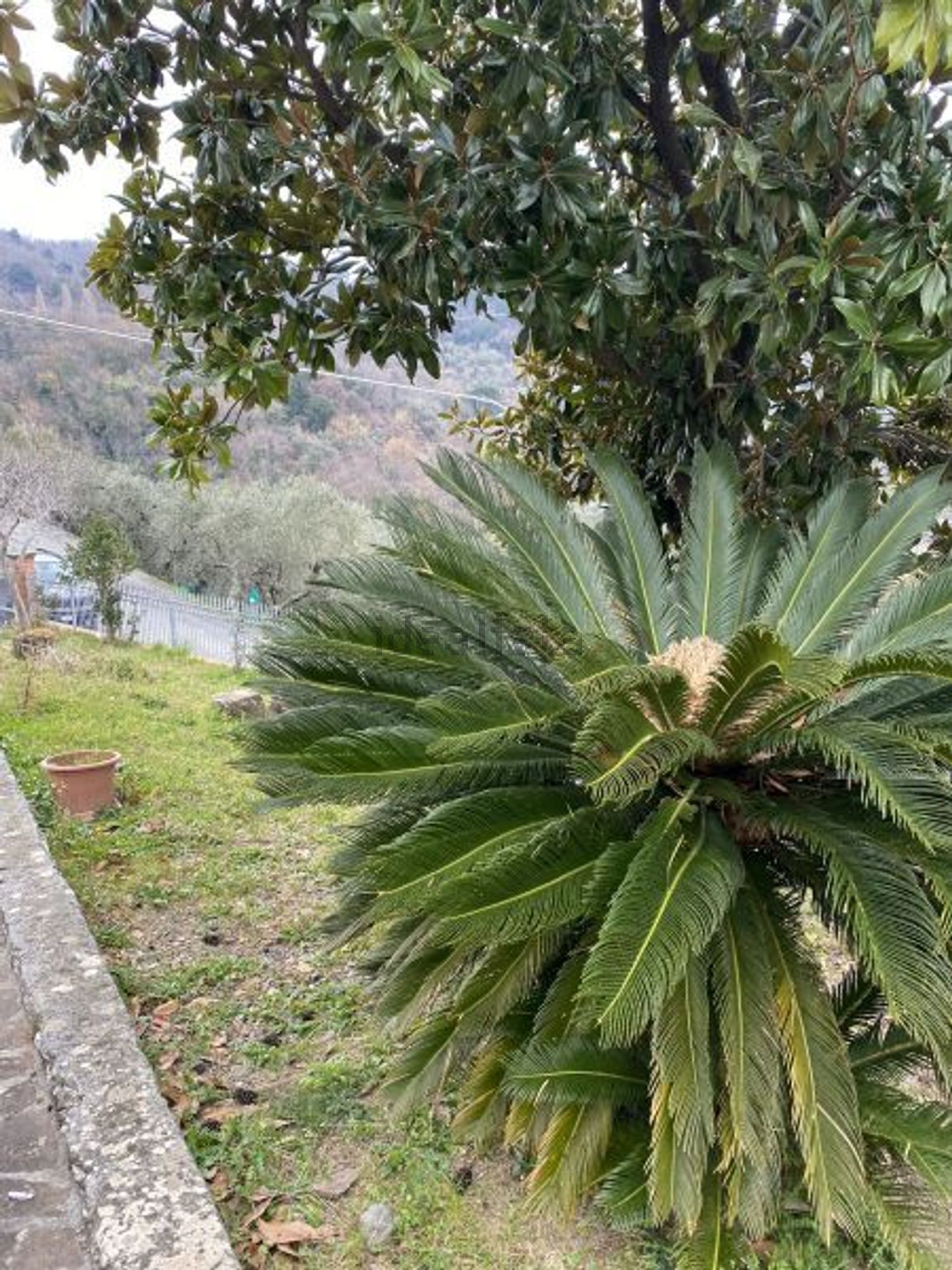 Villetta indipendente a Olmo - Santa Caterina - Falcinello, Sarzana