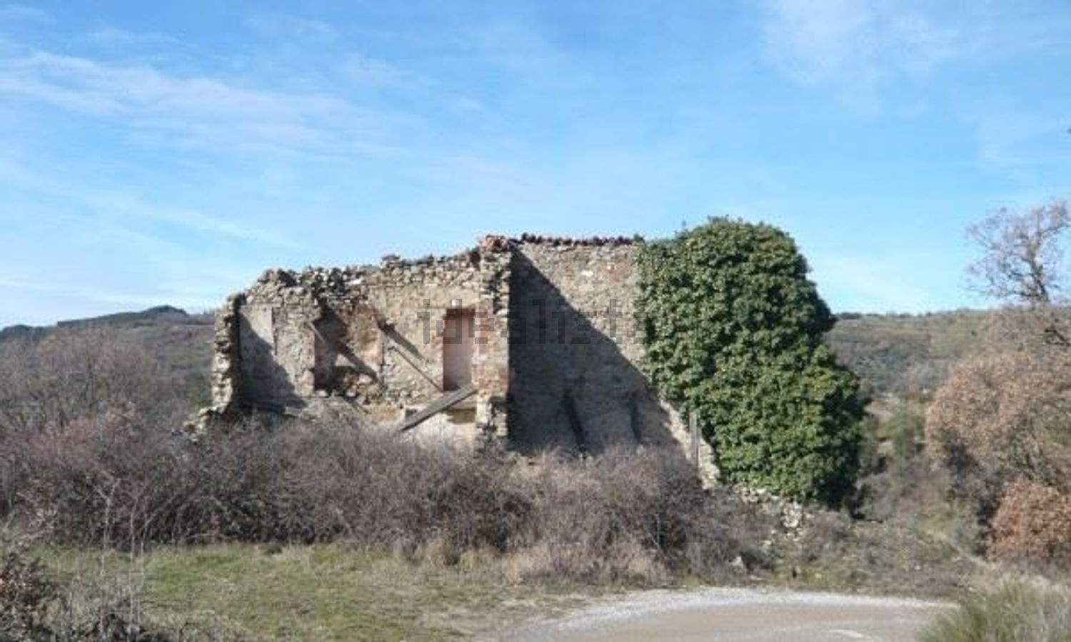 Proprietà rustica a Seggiano