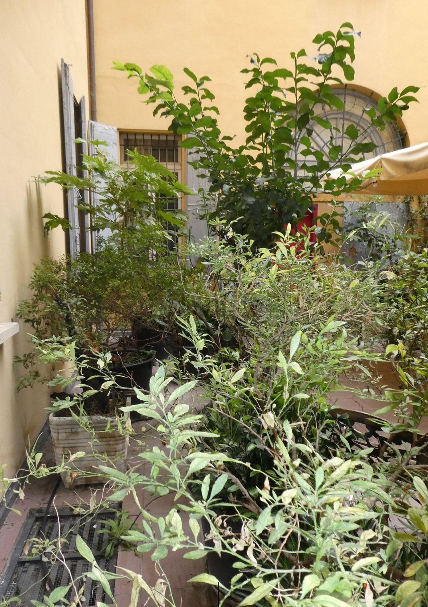 Apartamento em Centro, Bolonha