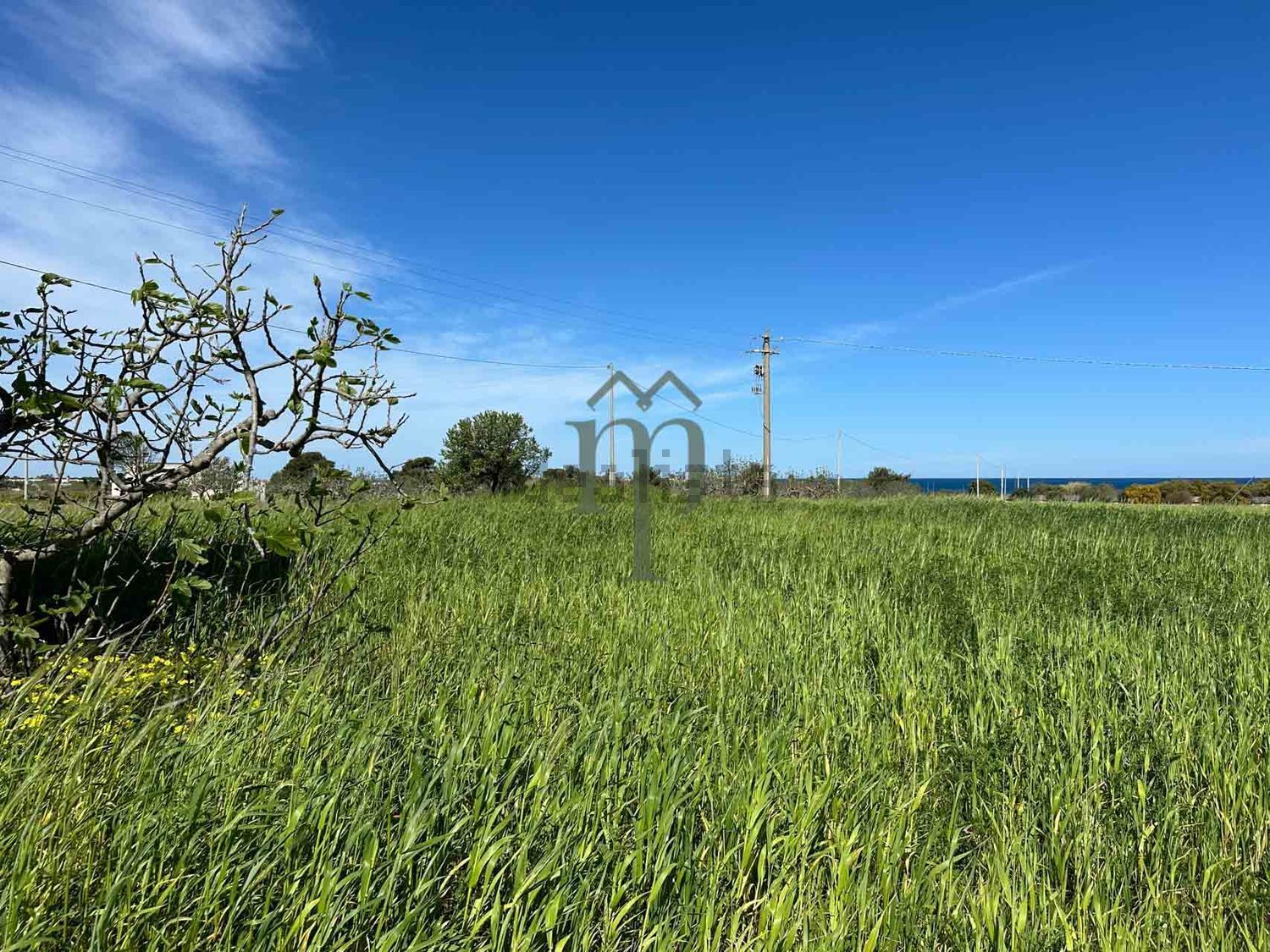 Quintas e casas rústicas em Torre Guaceto - Serranova - Bufalaria, Carovigno