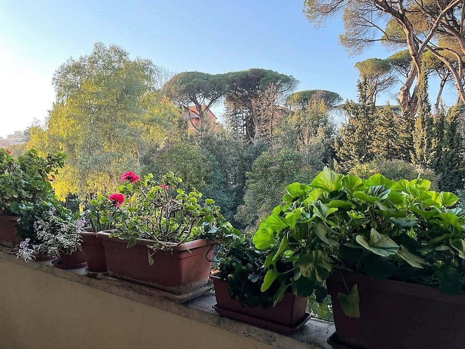 Flat in Trieste - Salario, Roma