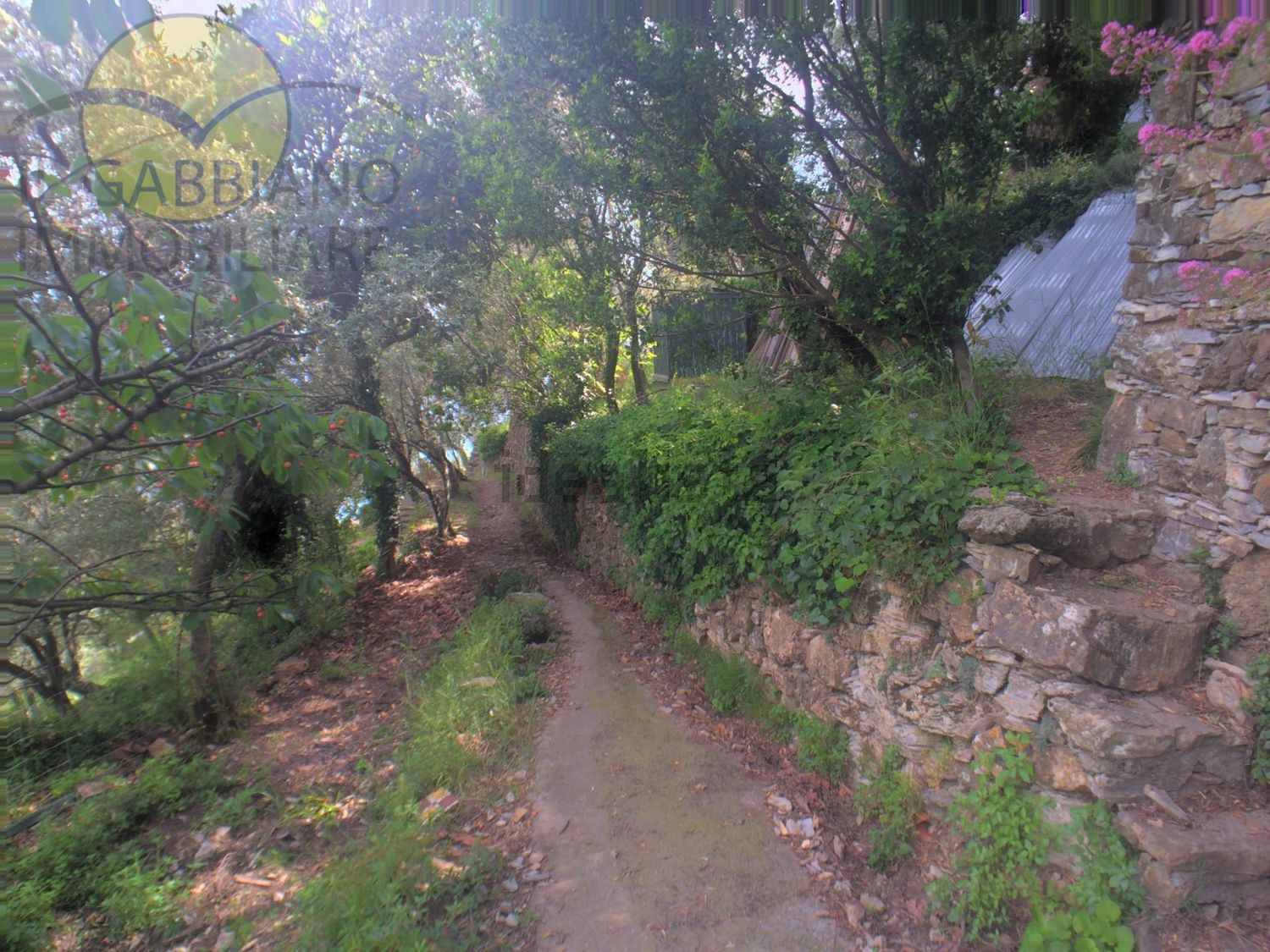 Detached house in Centro - Megli - Liceto, Recco