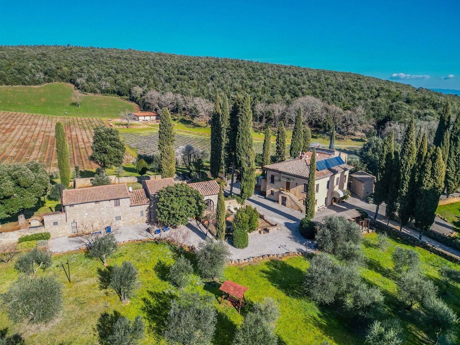 Case e ville a Castel San Gimignano - Zona Collinare, San Gimignano