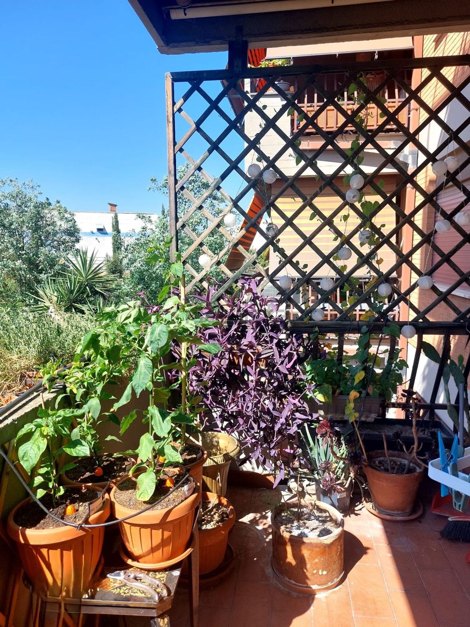 Appartamento a Casal Morena - Romanina, Roma