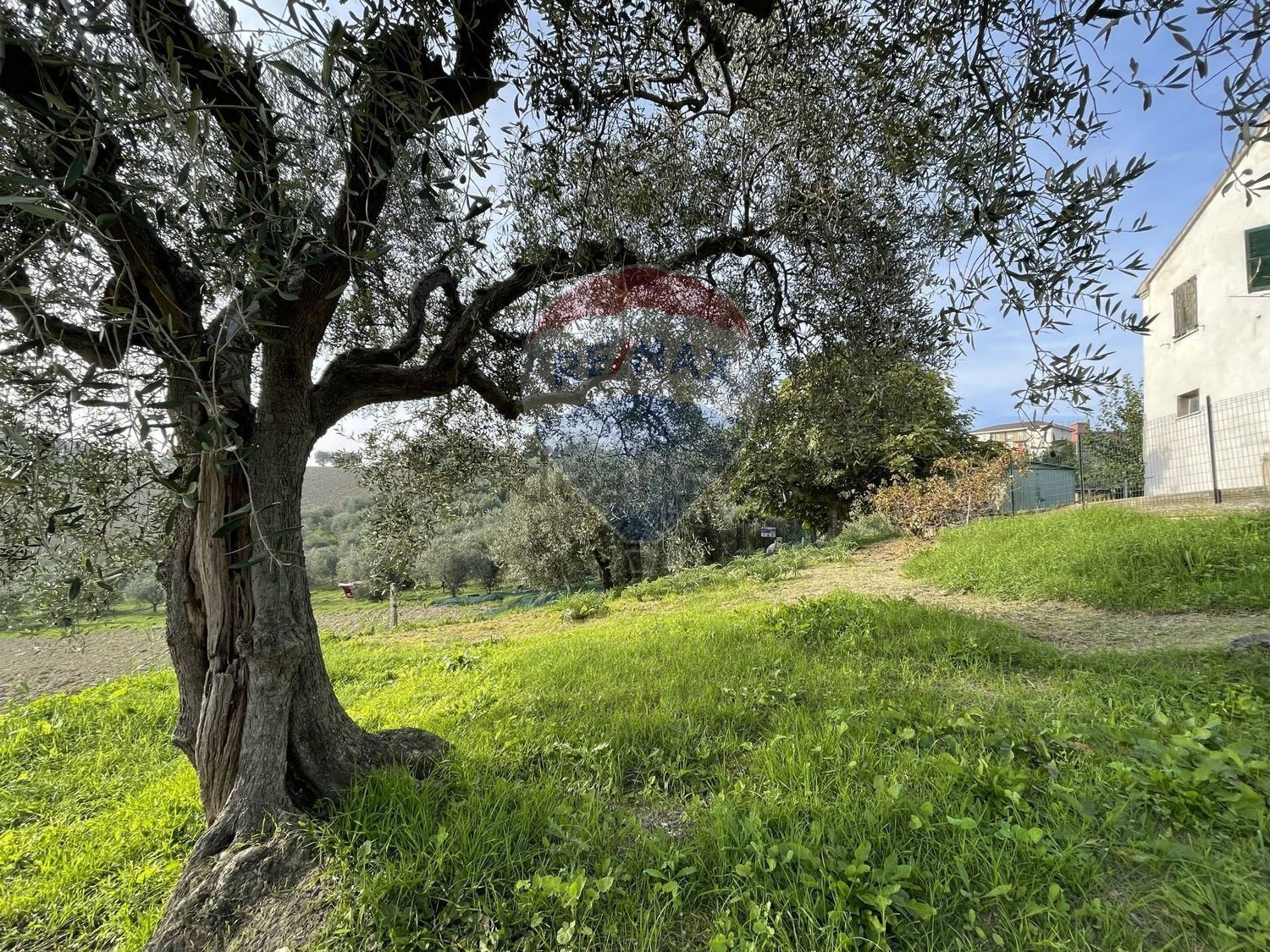 Villetta bifamiliare a Belvedere Ostrense