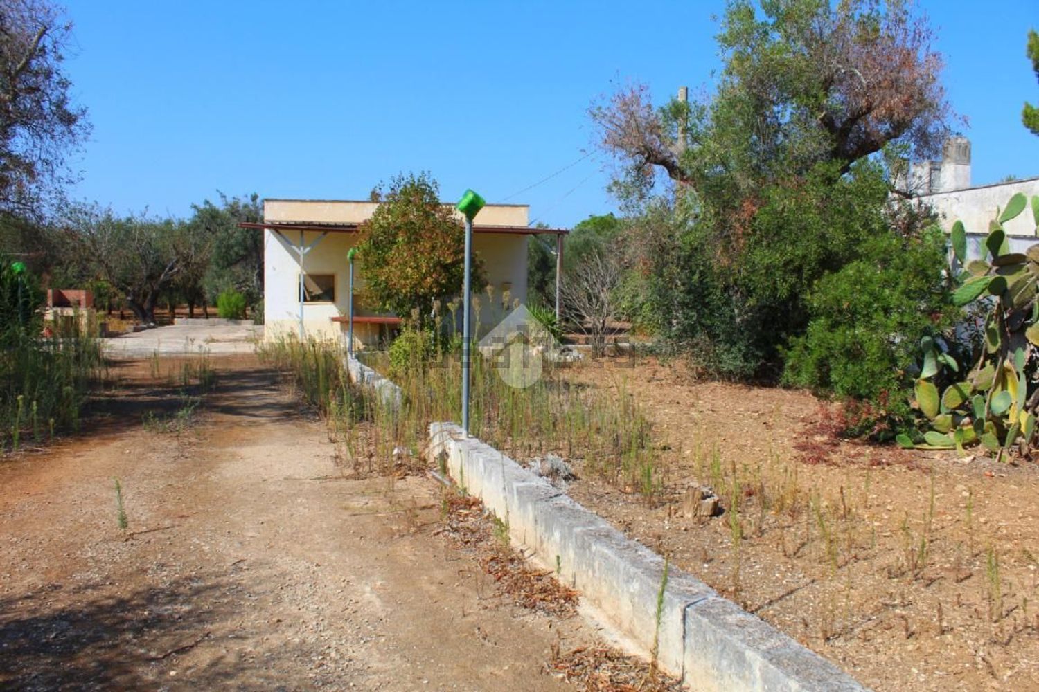 Flat in Torre Guaceto - Serranova - Bufalaria, Carovigno