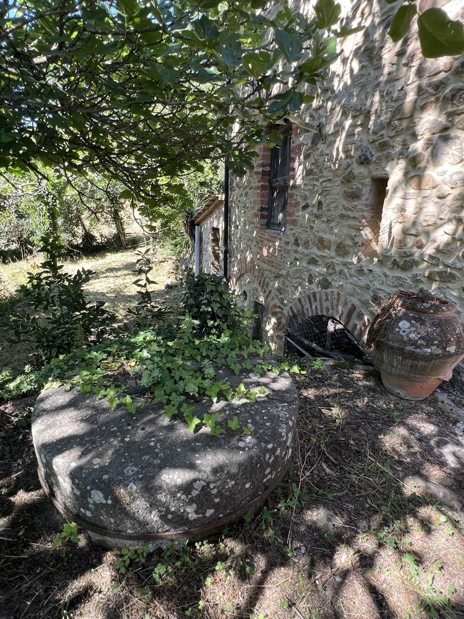 Rustici e casali a Castagneto Carducci