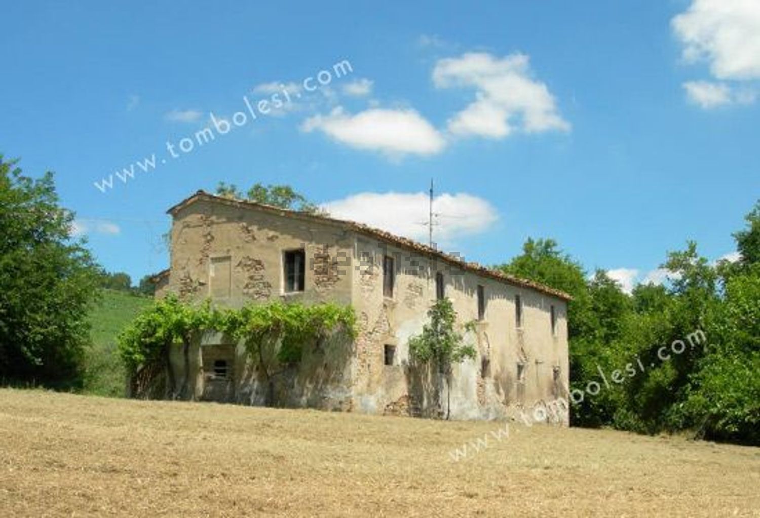 Country homes in Arcevia