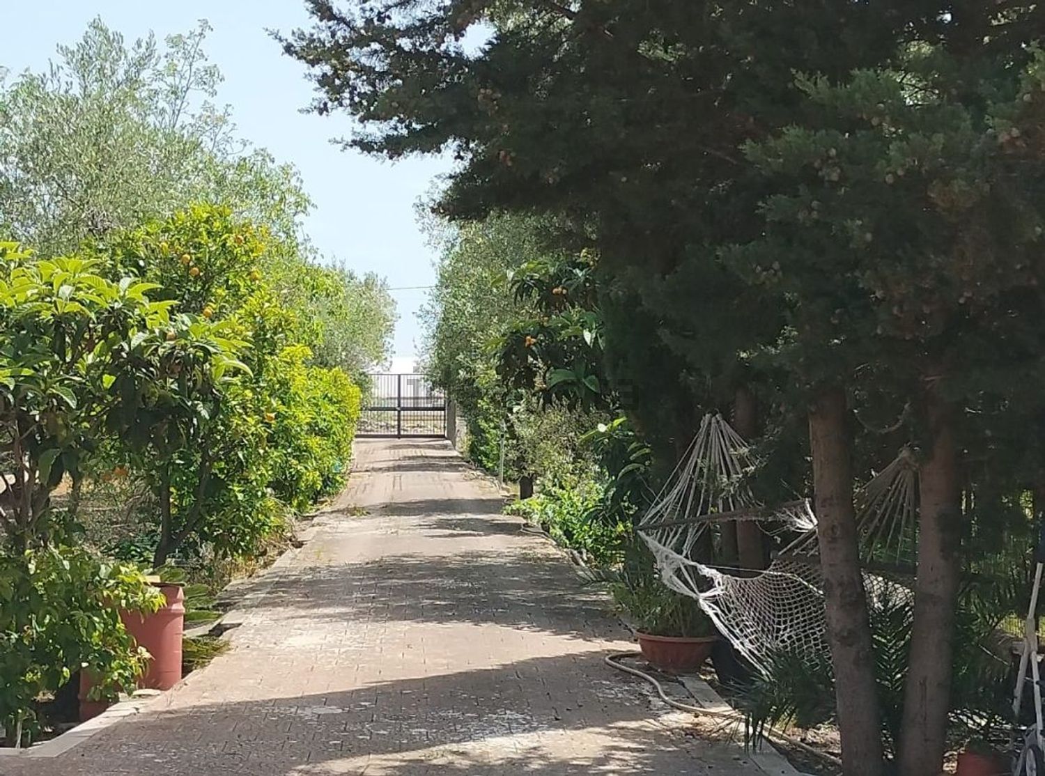 Maisons ou villas à Giovinazzo