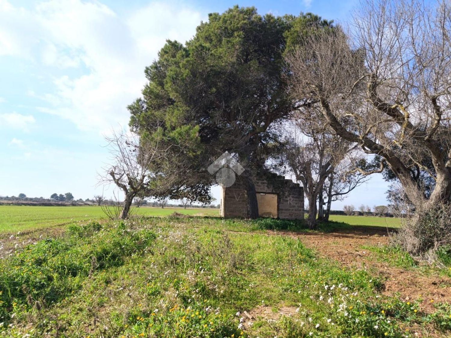 Maisons de campagne à Sant'Isidoro - Torre Inserraglio - Villaggio Boncore, Nardò