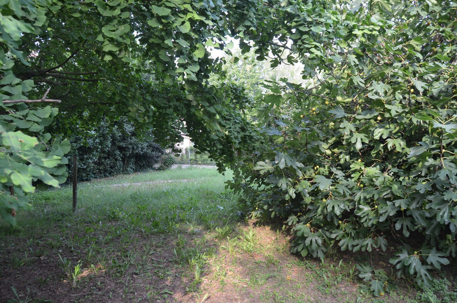 Chalet pareado en Lugo