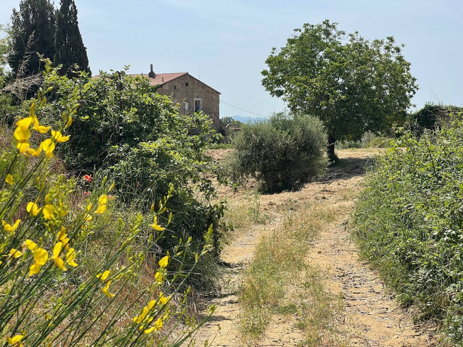 Maisons de campagne à Magliano in Toscana