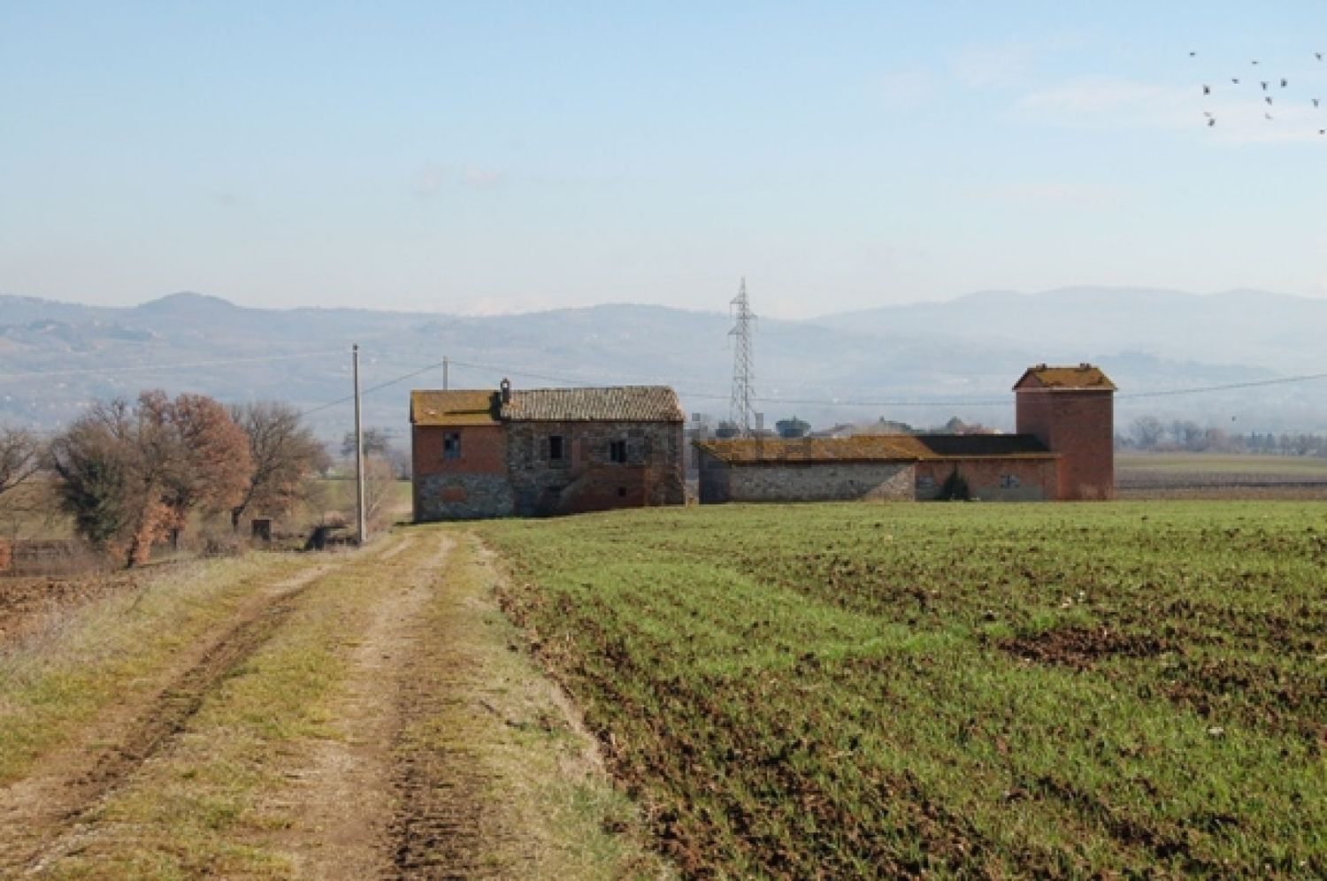 Houses in Marsciano