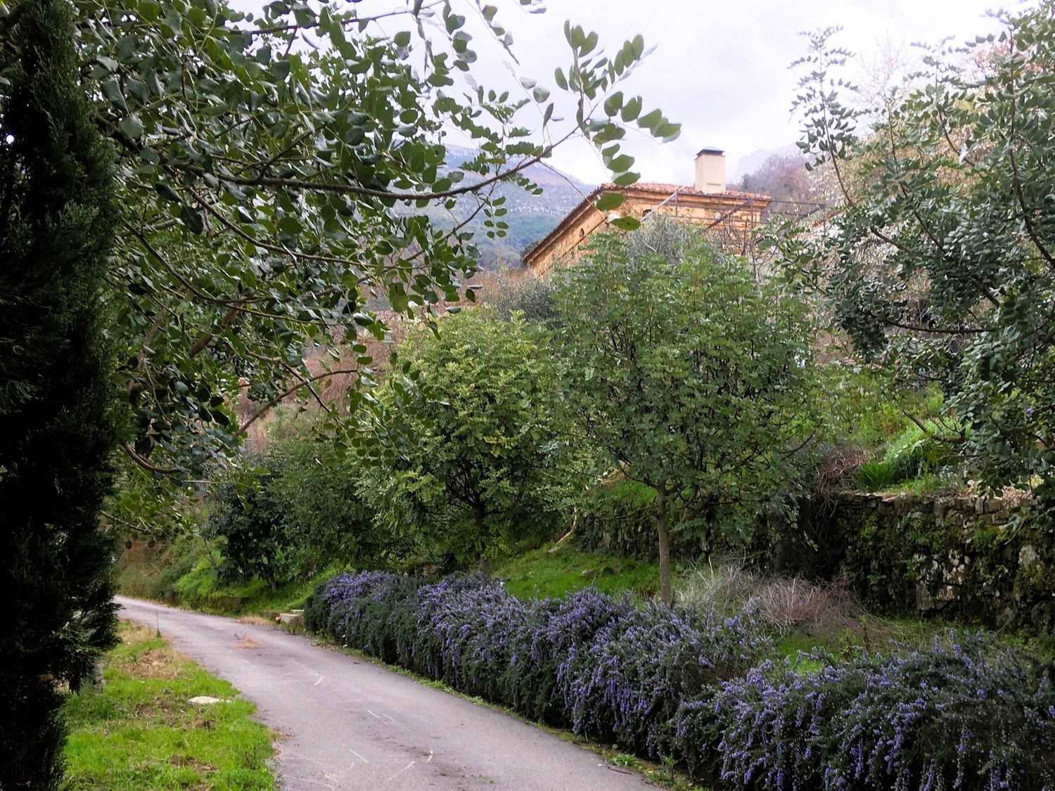 Casas rústicas en Serramezzana