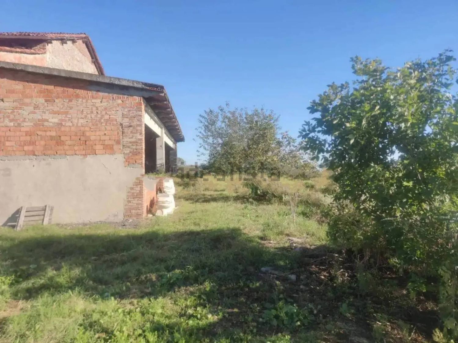 Estate in Roccabianca