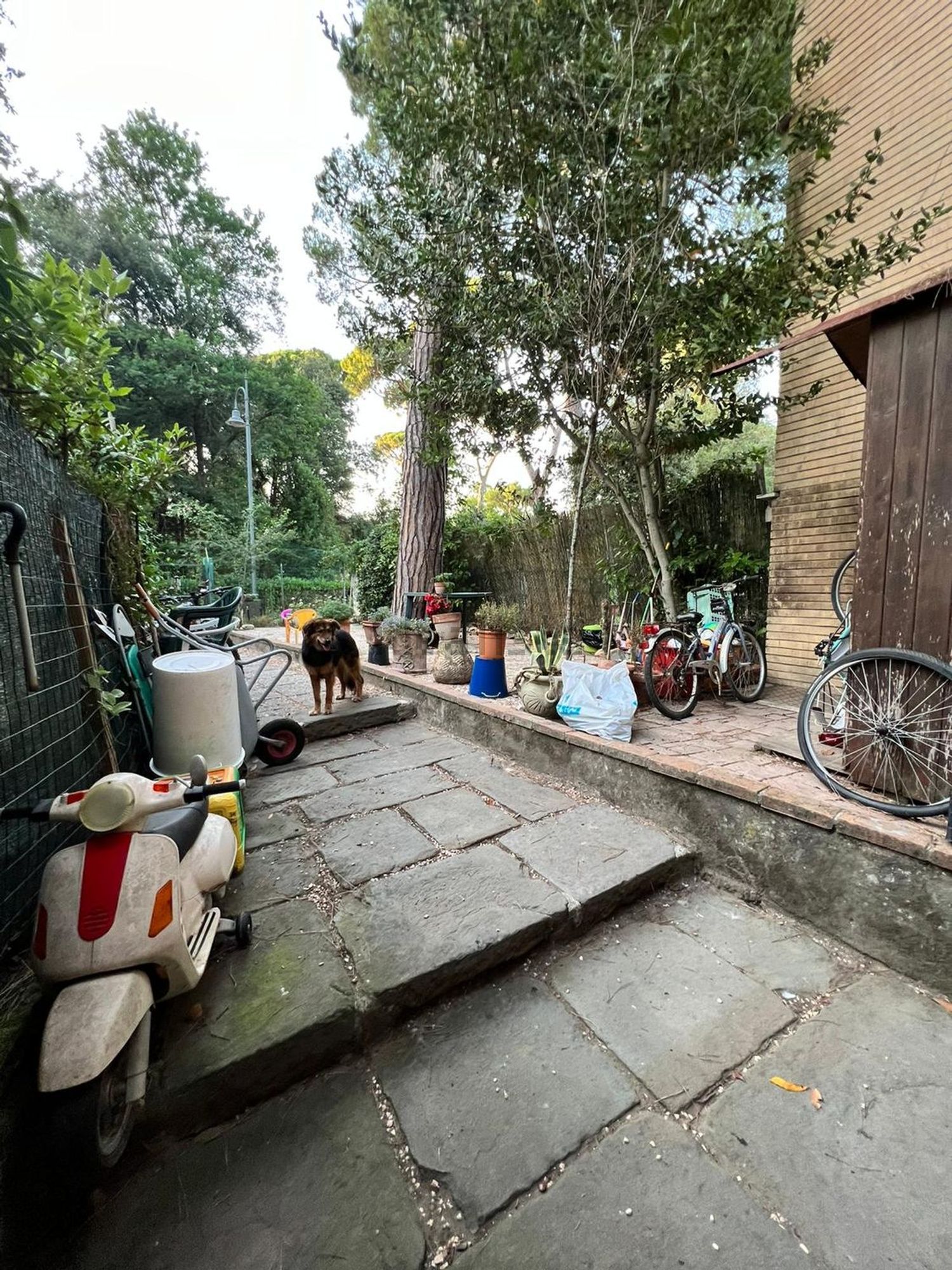 Flat in Torre del Lago, Viareggio