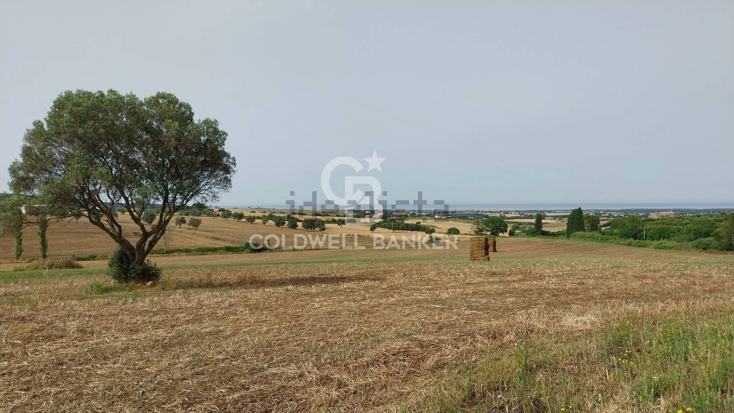 Rustici e casali a Tarquinia