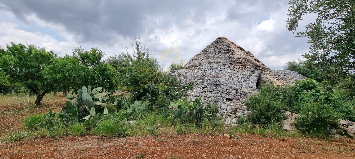 Casas rústicas en Città, Monopoli