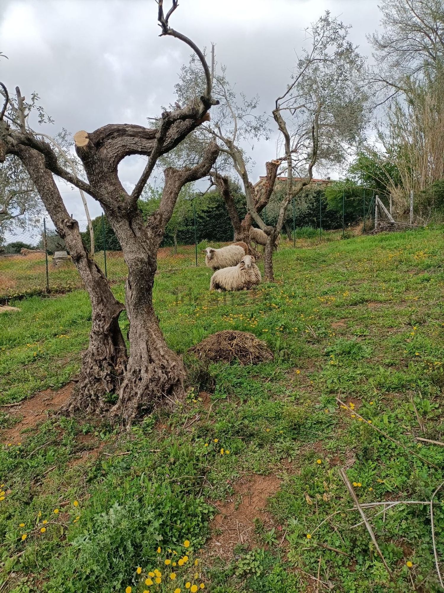 Casa di campagna a Poli
