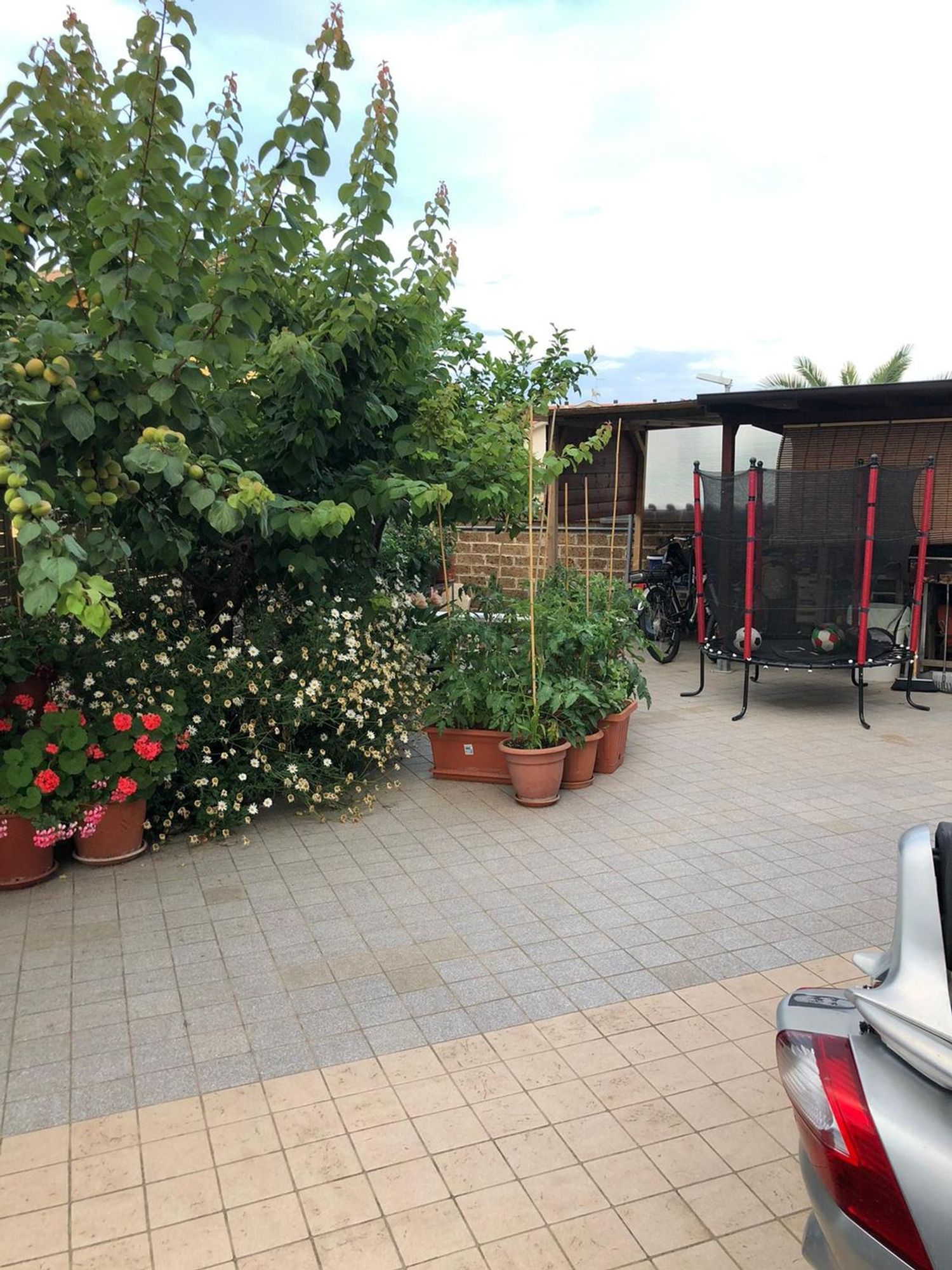 Reihenhaus in Città Sant'Angelo