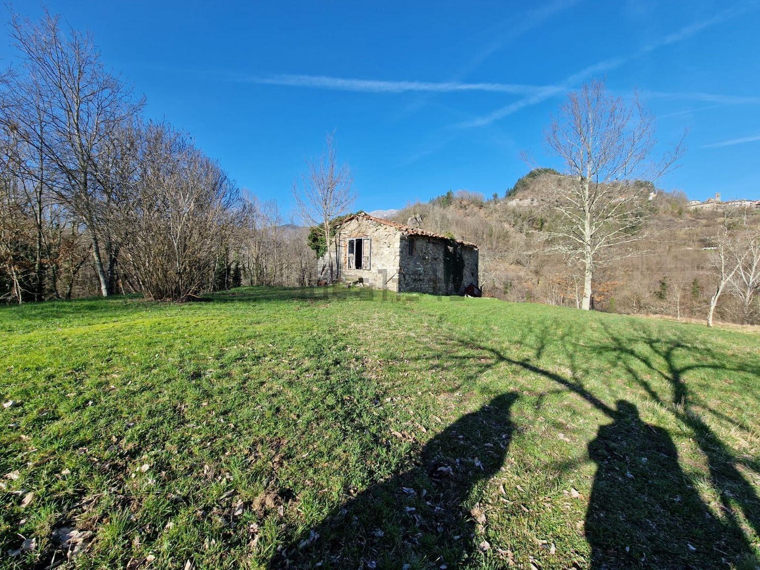 Houses in Camporgiano