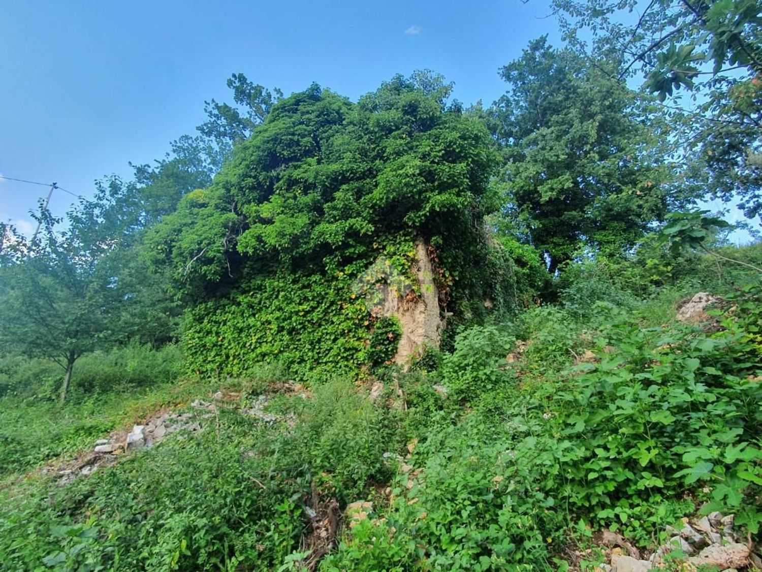 Landhäuser in Veroli