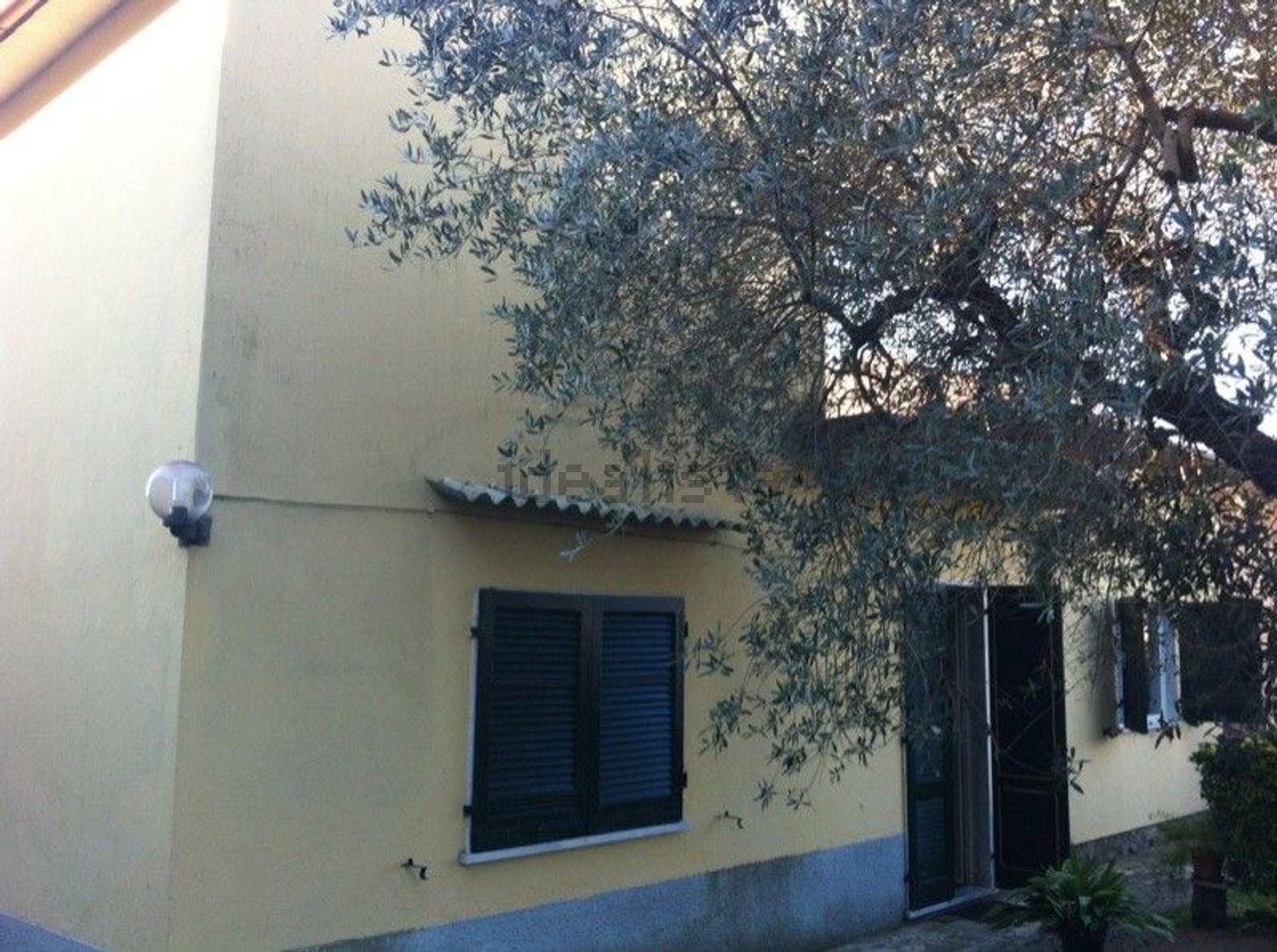 Houses in Querceta, Seravezza
