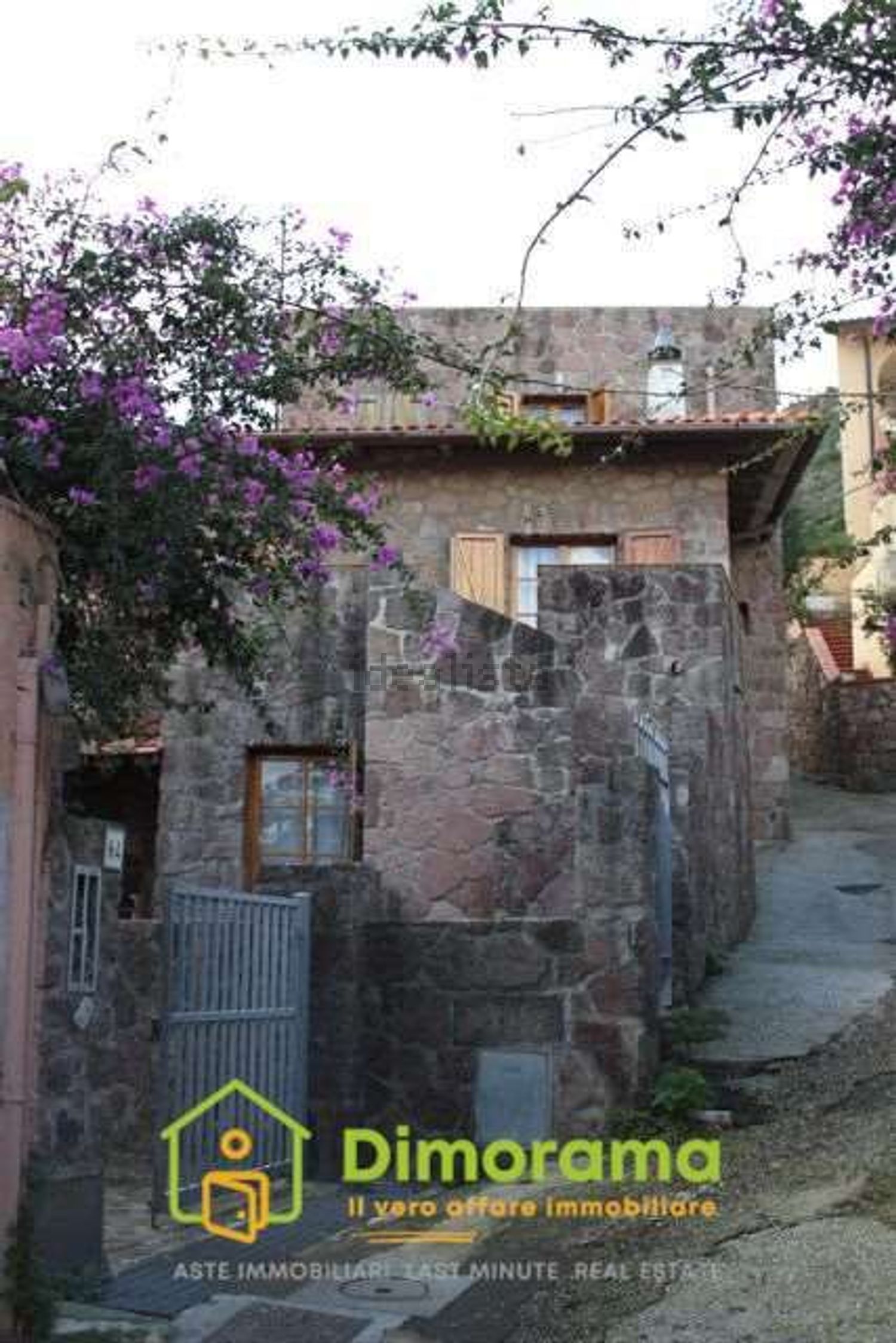 Houses in Capraia Isola