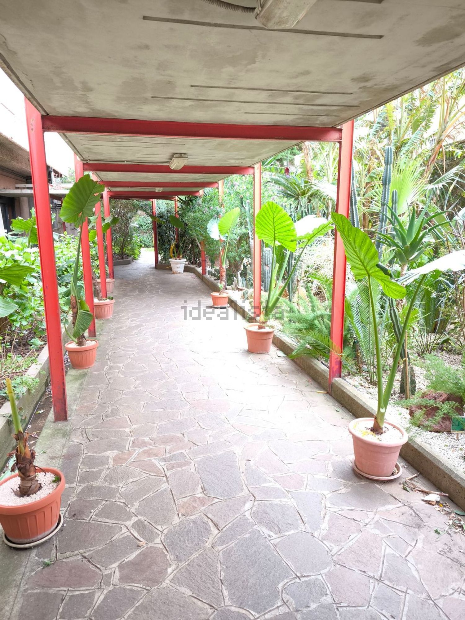 Flat in Matteotti-Uliveto-Buonarroti, Civitavecchia