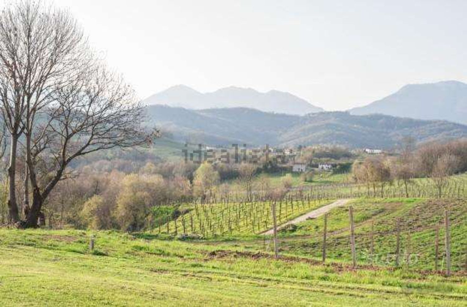 Rustici e casali a San Pietro di Feletto