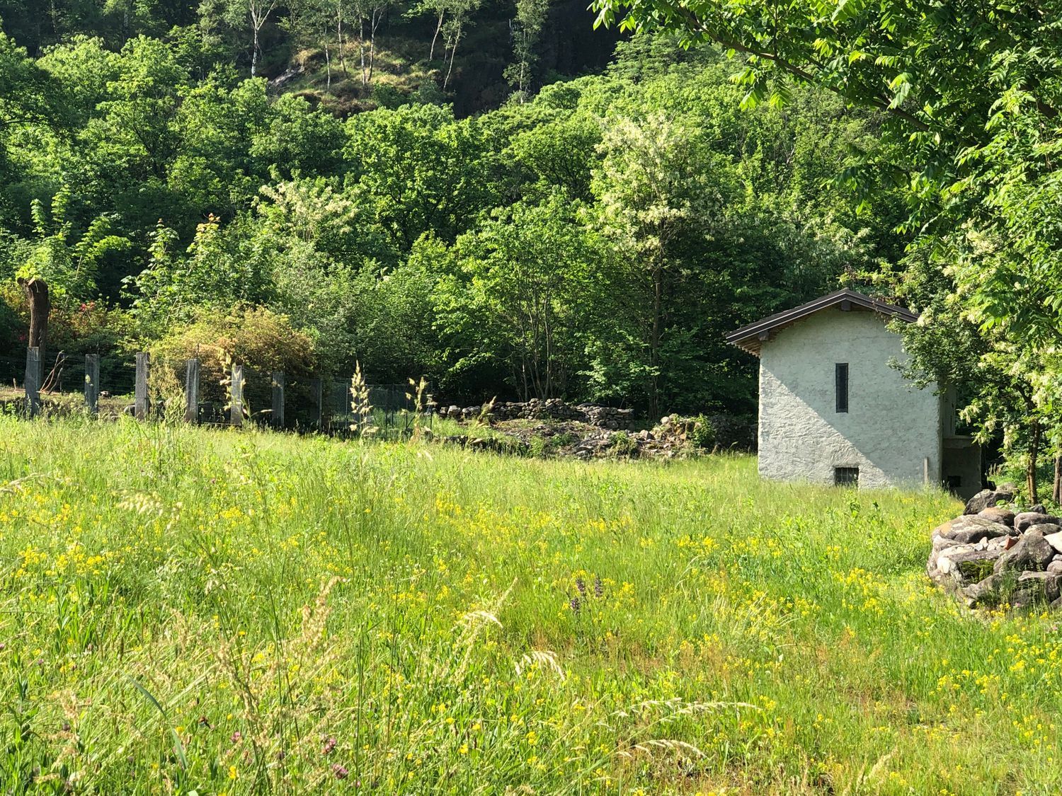 Casa rural en Ornavasso